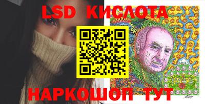 винт Донецк