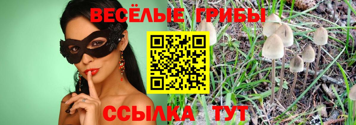 Павлово  Псилоцибиновые грибы мухоморы  Вход с VPN  Галлюциногенные грибы Psilocybe 