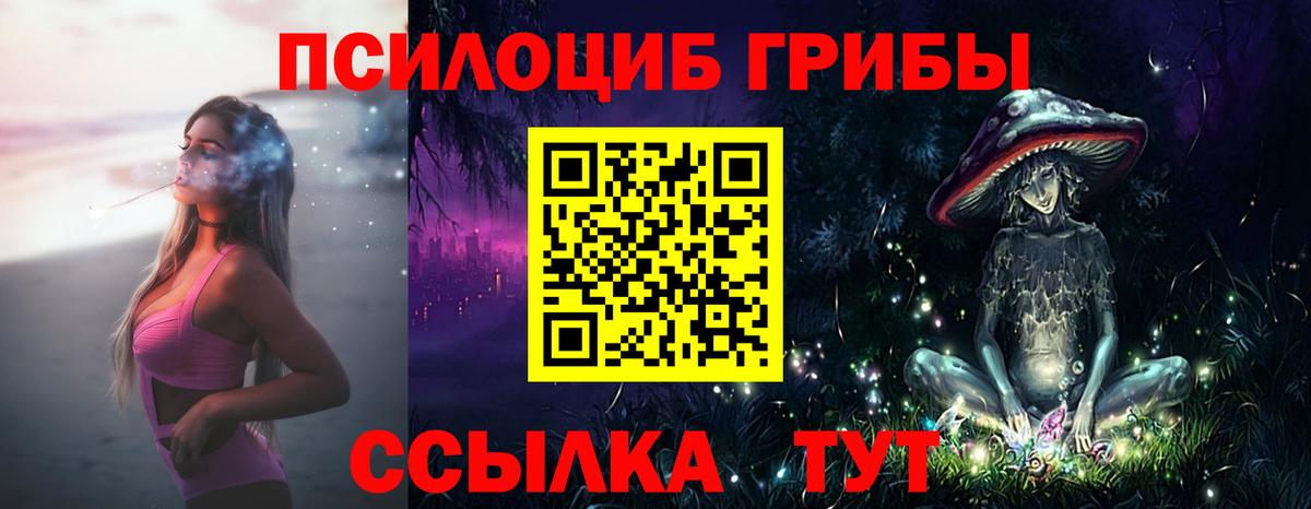 Псилоцибиновые грибы мицелий Павлово